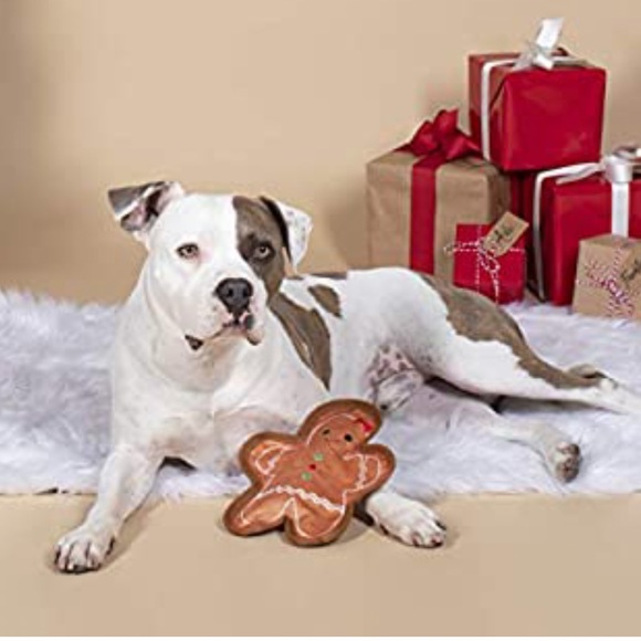 π HP π π Fringe Studio Bite Me Gingerbread Man Dog Toy - Picture 4 of 9